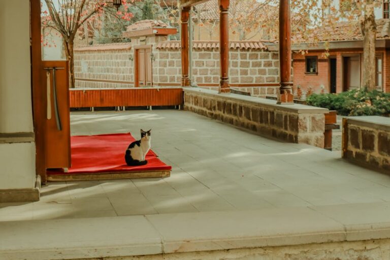 Evde Elektron Mikroskobu Yapımı: Gerekli Malzemeler ve Maliyet Analizi