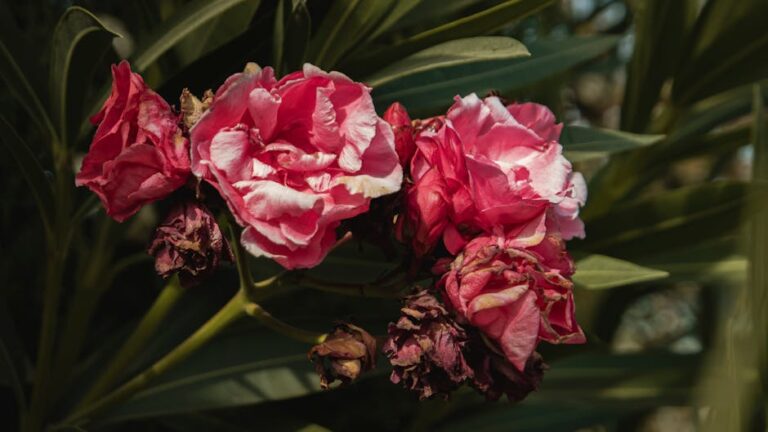 Kasım Ayında Bahçeye Ne Ekilir? Detaylı Ekim Rehberi