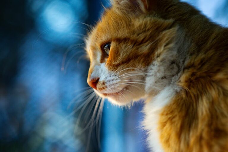 Dopamin ve Motivasyon: Tembelliği Yenmenin Bilimsel Yolu