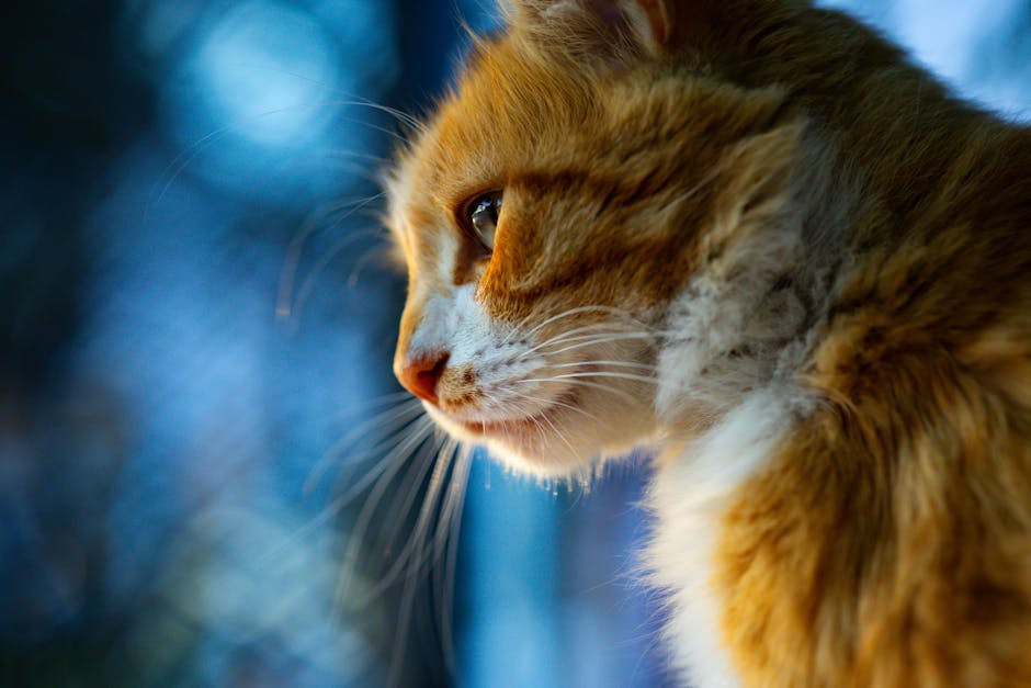 Dopamin ve Motivasyon: Tembelliği Yenmenin Bilimsel Yolu