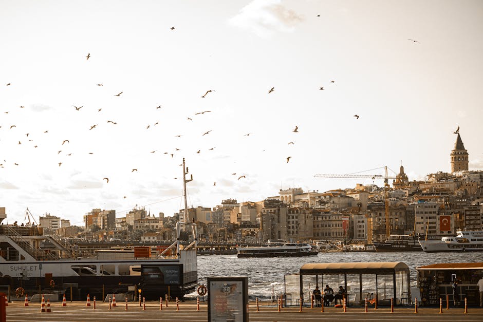 Ley Hatları: Kadim Uygarlıkların Enerji Yolları ve Türkiye Bağlantısı