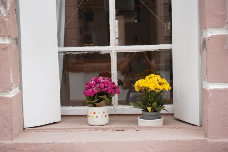 Kışın Bahçeniz İçin Yapabileceğiniz 10 Harika İpucu