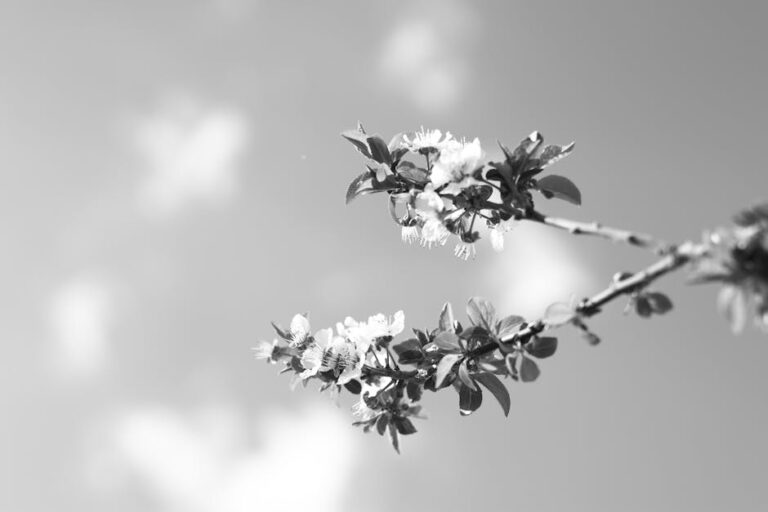 İyi Duruş Nasıl Kazanılır: Özgüven ve Sağlık İçin Kapsamlı Rehber
