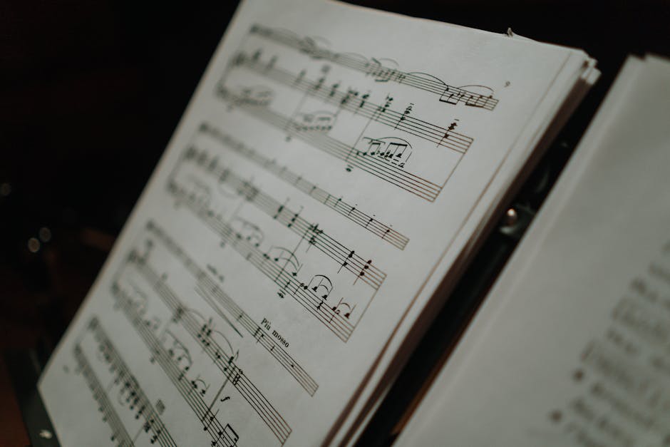 Nazikçe Hayır Deme Sanatı: Sınırlarınızı Çizin ve Kendinize Öncelik Verin