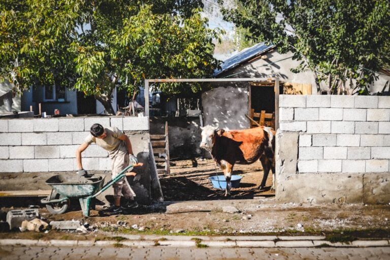 Zeka Seviyeniz ve Kariyer Başarısı: Doğru İşi Nasıl Seçersiniz?