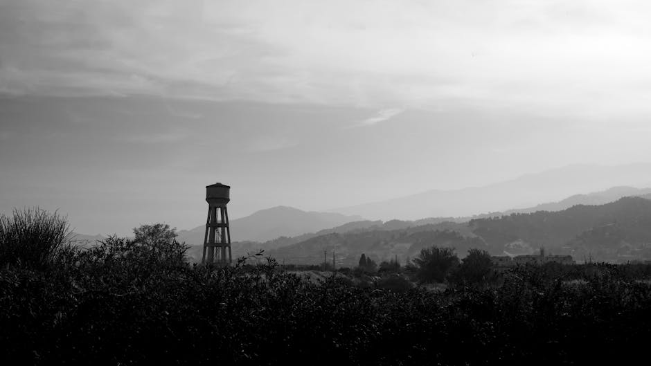 Yeni Başlayan Bahçıvanlar İçin En Yaygın Bahçe Hataları ve Çözümleri