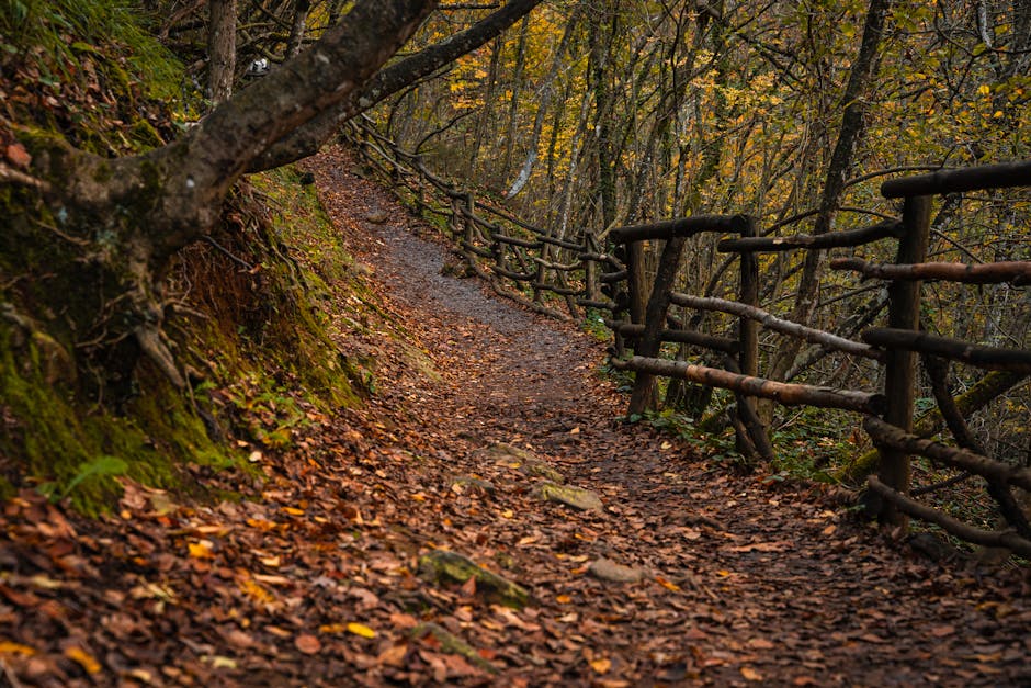 Yalnızlığın Gücü: Kişisel Gelişim ve Yaratıcılık İçin Bir Araç mı, Tehlike mi?