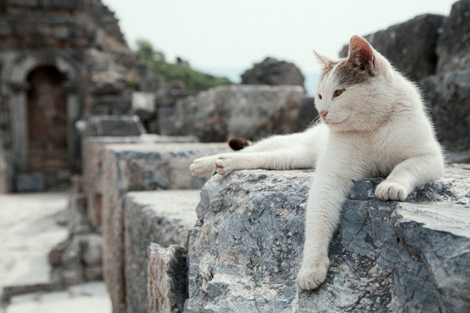 Numeroloji Nedir? Sayıların Gizemli Dünyası ve 33. Paralel'in Sırları