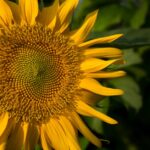 Featured image placeholder 16:9