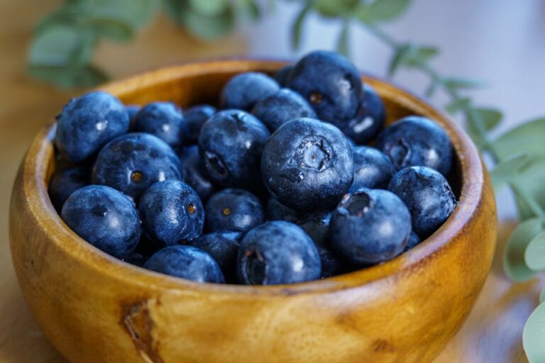 Protein Birleştirme Miti: Bitkisel Gıdalardan Tam Protein Nasıl Alınır?