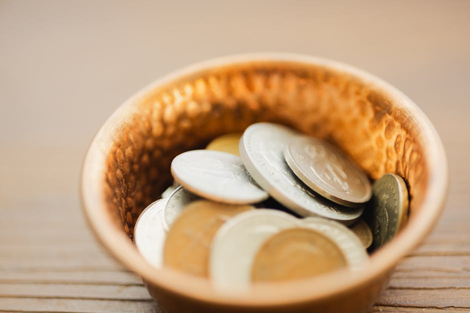 Finansal Okuryazarlık Rehberi: Para Nasıl Çalışır?