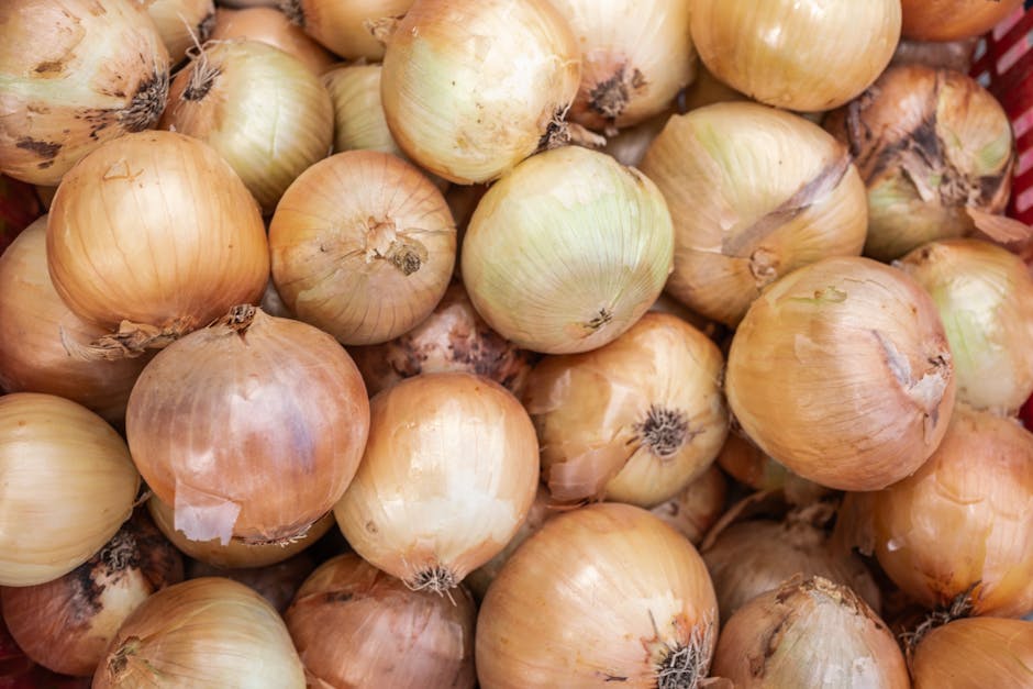 Sağlıklı Beslenmenin Temelleri: Vücudun İşleyişi ve 4 Adımlı Strateji