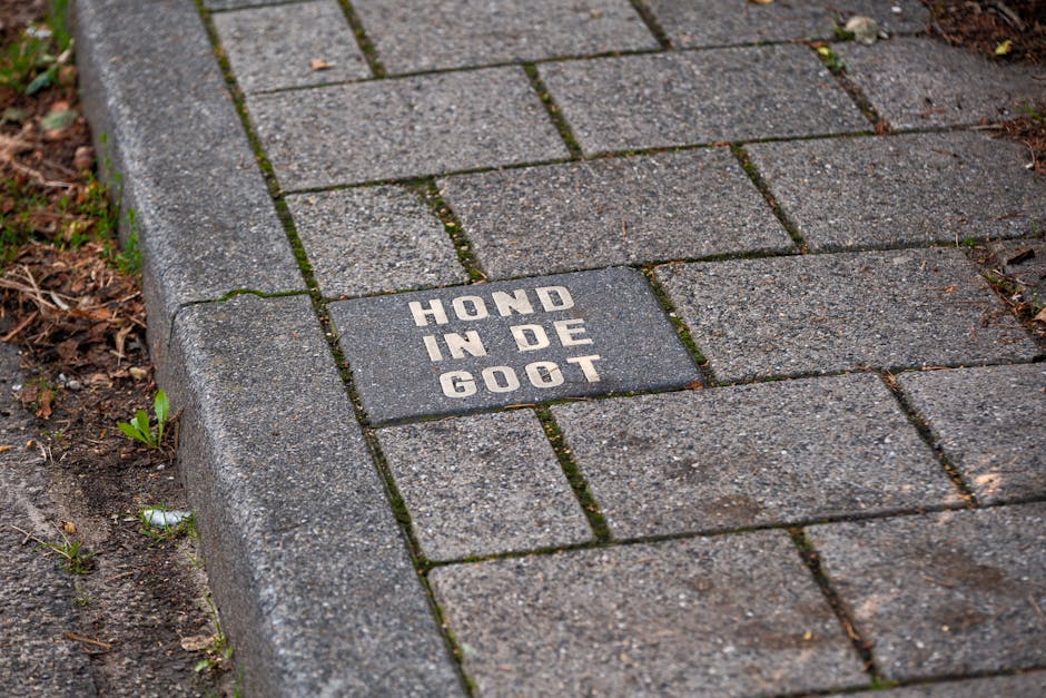 Hollanda Yol Tasarımı: Asfalt Yerine Klinkerlerin Sırrı ve Faydaları