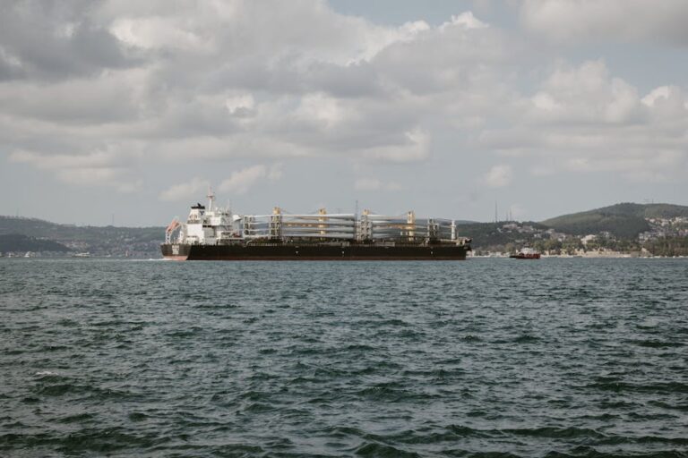 Küresel Deniz Taşımacılığının Gizli Dünyası: Maersk Essex'in Yolculuğu ve Tedarik Zinciri Krizleri