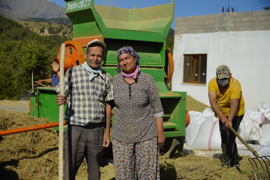 Yakisugi Tekniğiyle Yükseltilmiş Mutfak Bahçesi Kurulumu ve Hasadı